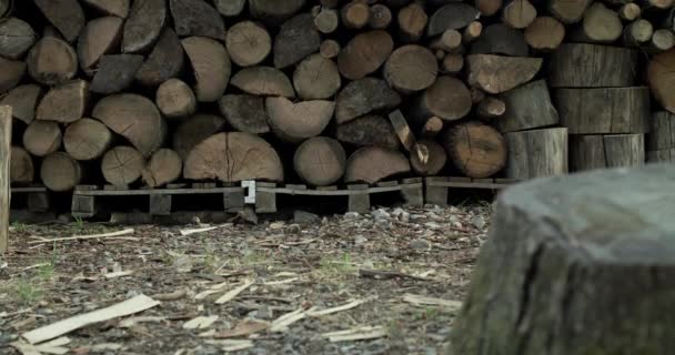 Низький вид дівчини в дме плаття йде на дерев'яний набір і зникає з камери — стокове відео