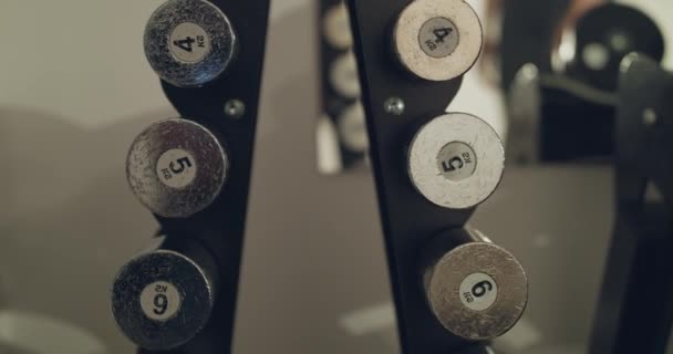 Les mains féminines prennent des haltères d'un bar dans la salle de gym sur fond — Video