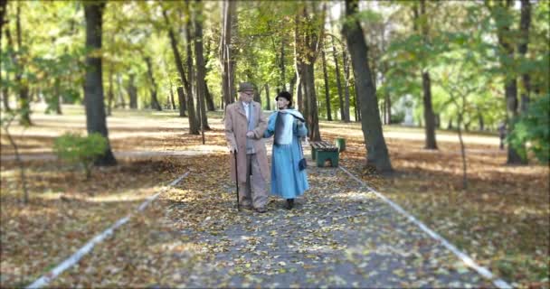 Элегант, семейная пара пенсионеров гуляет и разговаривает в осеннем парке — стоковое видео