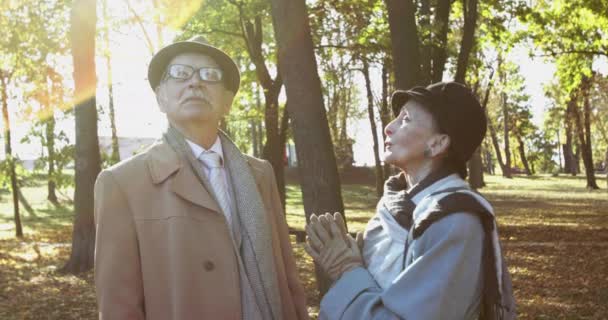 Adorável, casal idoso olha para o céu ensolarado e fala no parque de outono — Vídeo de Stock