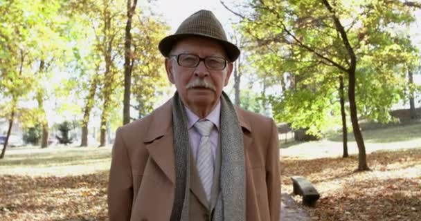 L'uomo più anziano elegante cammina e dice seriamente a macchina fotografica in un parco di autunno — Video Stock
