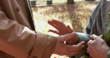 Sonbahar parkında kadın eli tutan yaşlı erkek ellerini kapat.