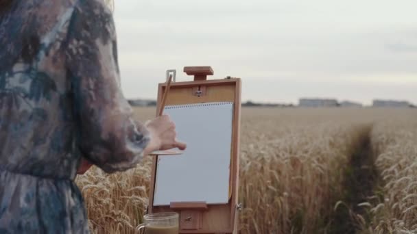 View of pretty lady painting landscape on canvas among wheat field — Stock video