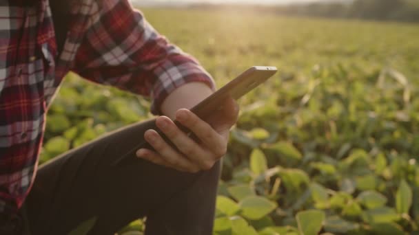 Κοντινό πλάνο mans χέρια με tablet — Αρχείο Βίντεο