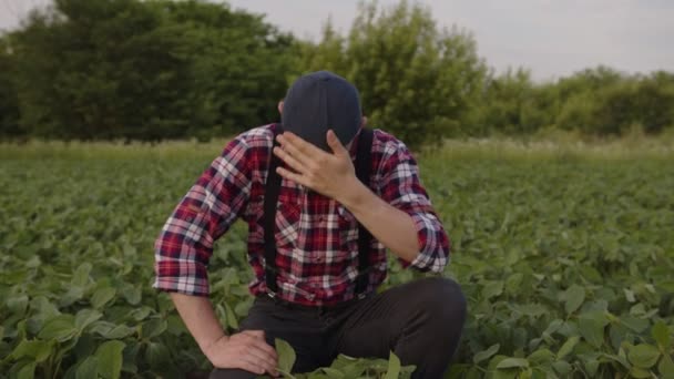 Tired farmed put on his black hat on a field — 图库视频影像