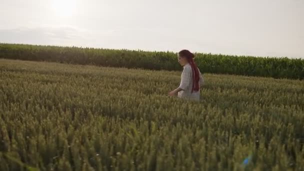 Vue latérale d'une jolie fille qui marche sur un blé et prend des photos — Video