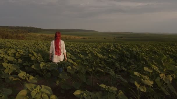 Κοκκινομάλλα κοπέλα με καρό πουκάμισο στέκεται στο χωράφι με τα ηλιοτρόπια — Αρχείο Βίντεο