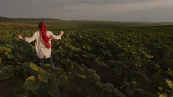 Face arrière d'une fille qui court dans le champ de tournesol — Video