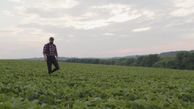 Çekici bir adam yeşil alanda yürüyor.