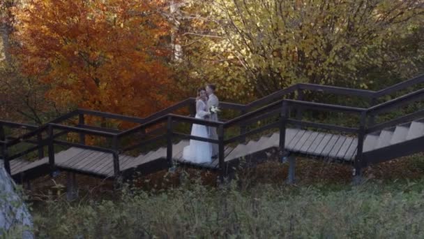 Стильная и нежная влюбленная пара - жених и невеста - в день своей свадьбы в лесу, стоит на лестнице. — стоковое видео