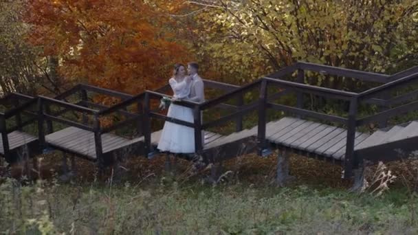 Stilvolles und zartes verliebtes Paar - Braut und Bräutigam - am Hochzeitstag im Wald, steht auf der Treppe. — Stockvideo