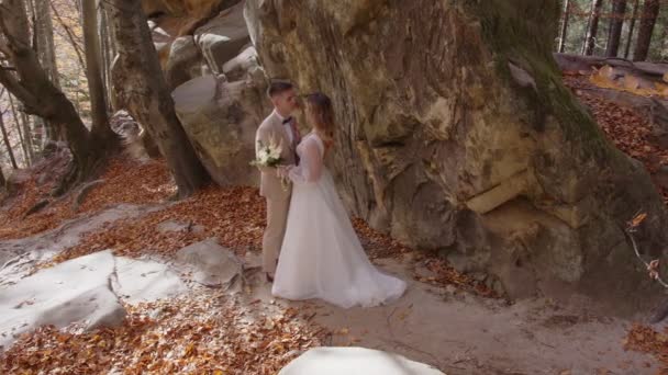 山の中の若いカップル。新婚旅行の岩の背景に抱きつく. — ストック動画