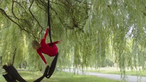 Great job of a young pretty lady on aerial silk — Stock Video