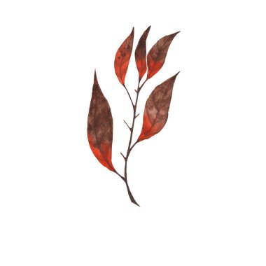 Güzel portakal yaprakları beyaz üzerine izole,