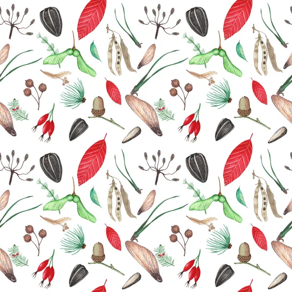 森と庭のシームレスなパターン リンデンの種子 バラの腰 コーンの種子 松の針 アコーン ヒマワリの種 アカシアのフック クラフト紙 壁紙のための — ストック写真