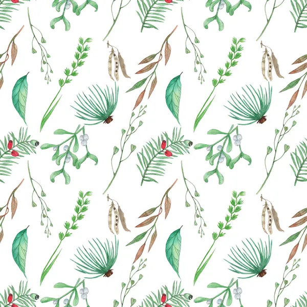 森と庭のシームレスなパターン 花の背景 植物イラストリネンの種 バラの腰 ディルの種 コーンの種 松の針 アコーン ヒマワリの種 アカシアのフック ストック写真