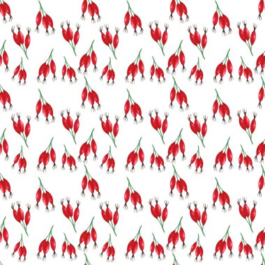 Gül kalçalı kusursuz bir arka plan. El çizimi suluboya çizimi