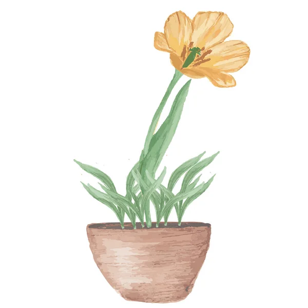 Tulipan w doniczce z zieloną trawą. Wiosenna ilustracja. Akwarela — Zdjęcie stockowe