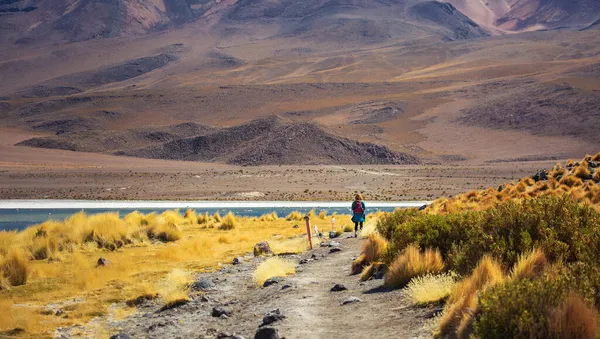 Дівчина Редгеда Йде Біля Прекрасної Лагуни Колорадо Болівія — стокове фото