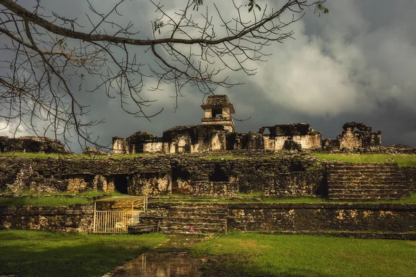 Ruinas Del Palacio Maya Sitio Palenque México — Foto de Stock