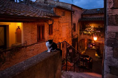 İtalya 'nın Montemerano köyünün dar sokağında. Noel süsü. Siyah beyaz kedi korkulukta oturuyor.