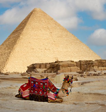 Mısır piramidinin yanında güzel giyimli bir deve oturuyor. Giza. Kahire. Mısır. Afrika