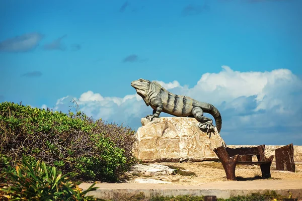 Meksika 'daki Isla Mujeres' deki Black Iguana parkındaki iguana anıtı..