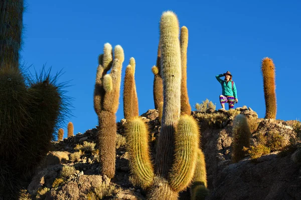 Turista Mira Cactus Isla Incahuasi Desierto Sal Uyuni Bolivia — Foto de Stock