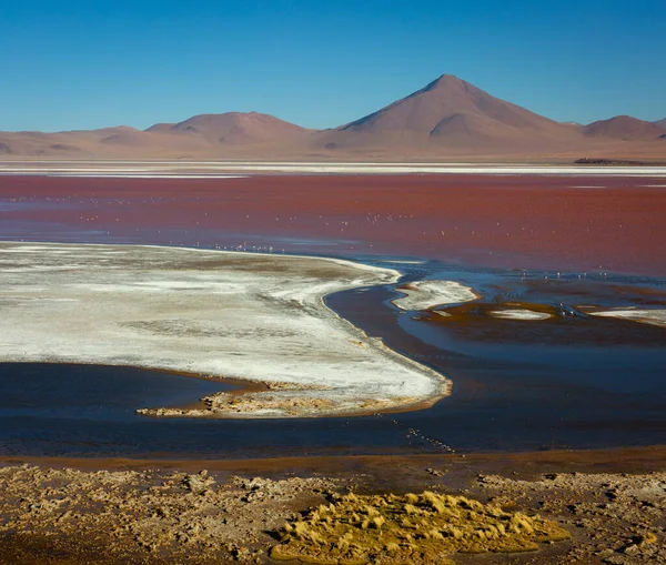 Güney Altiplano, Bolivya 'daki Laguna Colorada manzarası. Bolivya 'nın manzarası.