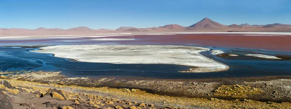 Панорама Знаменитої Колорадо Лагуни Півдні Альтіплано Болівія — стокове фото