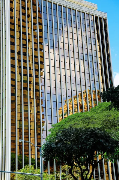 Street in Honolulu. Hawaii. Reflection in a house with mirrored windows.