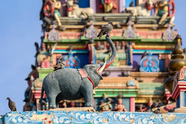 Скульптура Слона Якому Голуби Сидять Біля Кольорового Храму Індії — стокове фото