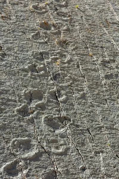 Окаменелые Следы Динозавров Кэл Орко Природный Палеонтологический Памятник Боливии Сукре — стоковое фото