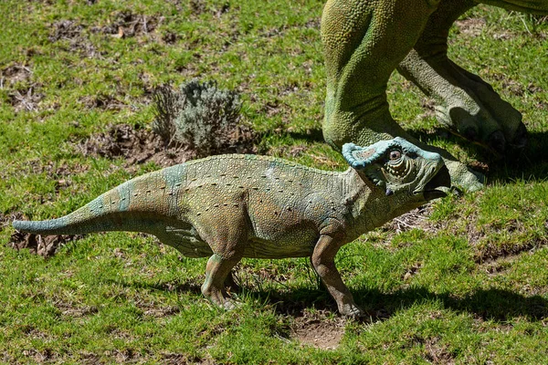 Dinozaur Park Cala Orko Sucre Boliwia — Zdjęcie stockowe