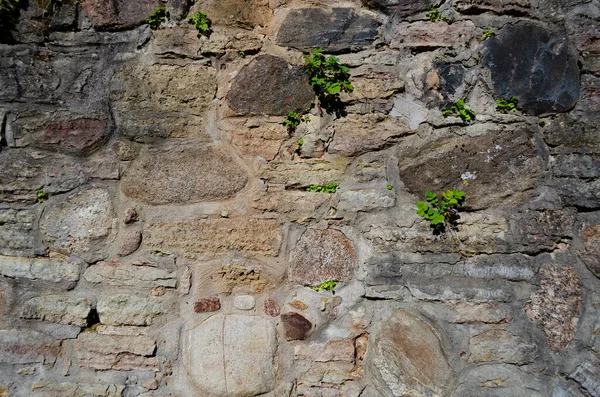 Kalksten Vägg Med Stenar — Stockfoto