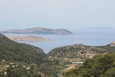 Yeşil çimenleri, mavi gökyüzü, deniz ya da okyanusu olan güzel bir deniz manzarası. Pankart, duvar kağıdı ya da kartpostal için doğa manzarası. Dağlık arazi sisli.