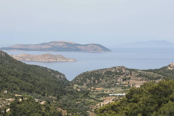 Yeşil çimenleri, mavi gökyüzü, deniz ya da okyanusu olan güzel bir deniz manzarası. Pankart, duvar kağıdı ya da kartpostal için doğa manzarası. Dağlık arazi sisli.
