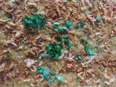 Geleneksel Pakistanlı Biftek Haleem Üst Görünümü