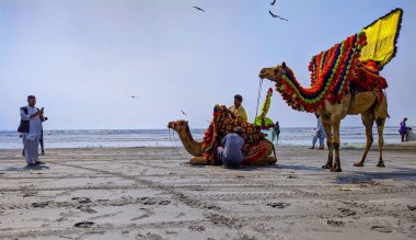 Sea View Clifton Beach Karachi, Pakistan (03-02-2021) Öğleden sonra deve sürüşü için bekleyen iki Pakistanlı ve plajın tadını çıkaran diğer yerel halk