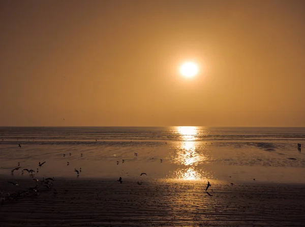 Akşamları Güneşin Altında Deniz Manzaralı Plaj — Stok fotoğraf
