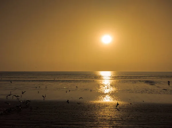Strand Mit Meerblick Abend Unter Der Sonne — Stockfoto