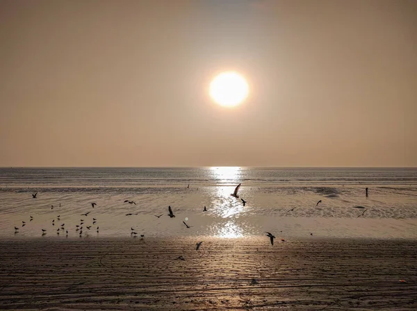 Пляж Видом Море Клифтон Вечером Солнцем Карачи Фаситан — стоковое фото