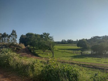 Paisagem com arvores, estrada e o cu azul ao fundo.