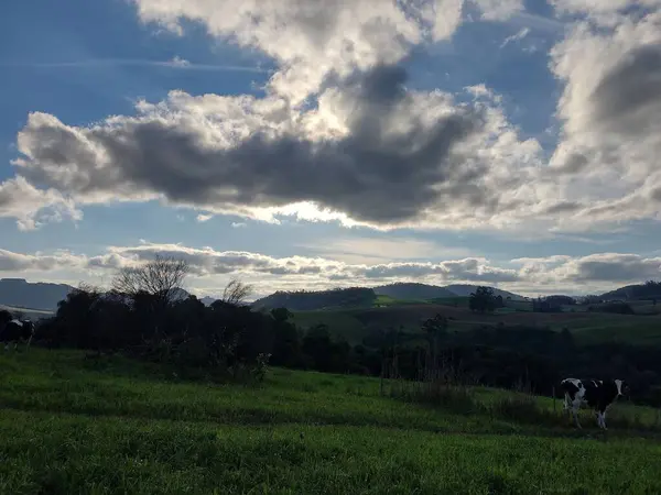 Campo Com Pastagem Para Vacas Com Montanhas Fundo — Stok fotoğraf