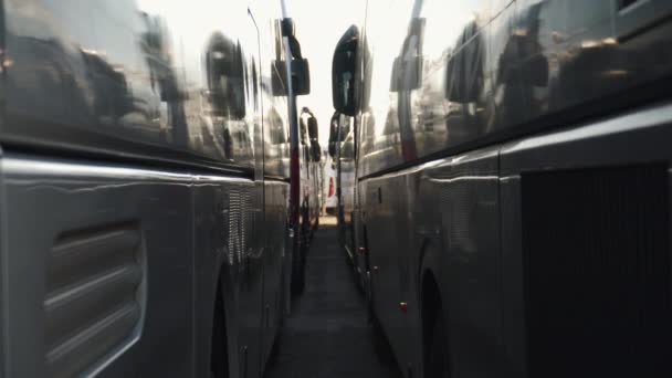 Bus Parking Lot Full — Stock Video