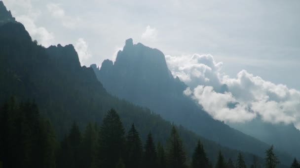 Una Vista Del Bosque Los Alpes Día Soleado — Vídeo de stock
