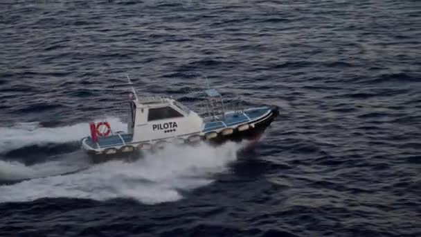 Akdeniz Hareket Eden Hızlı Bir Pilot Gemisi — Stok video