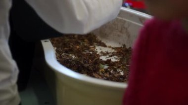 İlkokulda sonbahar yapraklarıyla oynayan çocukların detayları