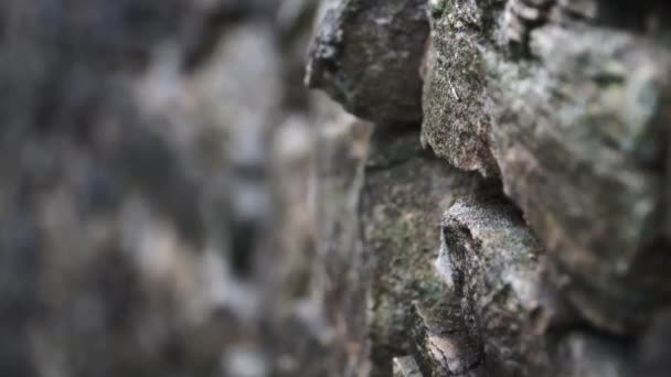 Extremo Cerca Las Rocas Muro Yeso Muy Viejo — Vídeos de Stock