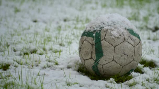 Uma Bola Futebol Campo Nevado Sob Uma Queda Neve — Vídeo de Stock